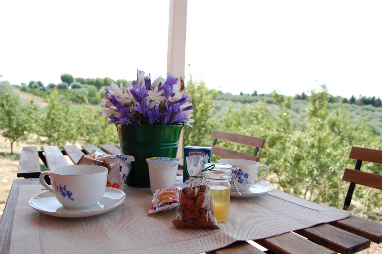 Apartment Mandorleo Belpasso